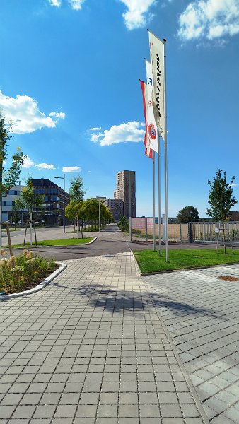 IMG_20260625_164728.jpg
